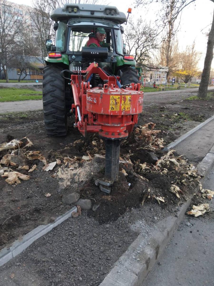 В Одессе на Канатной высаживают деревья В Одессе на Канатной высаживают деревья