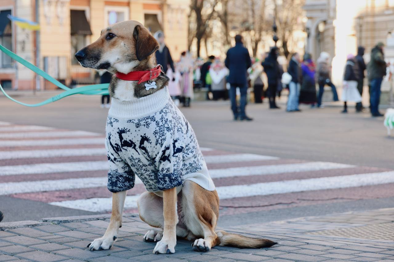В Одесі вперше провели спільну коляду (фото)