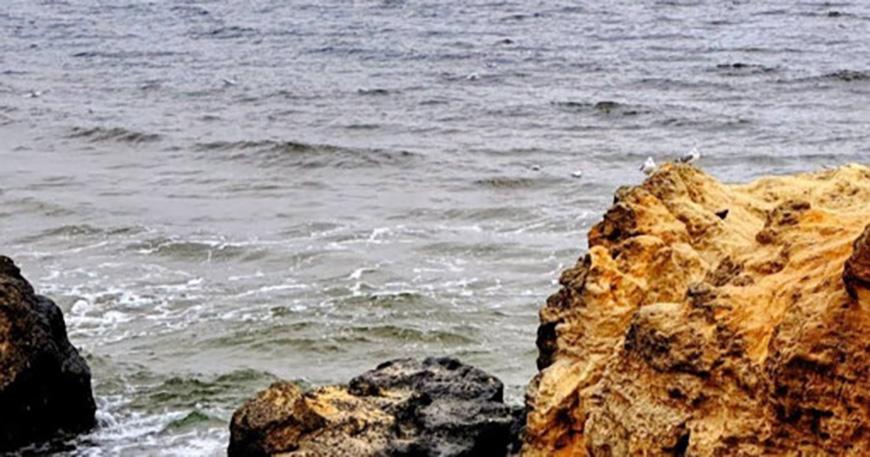 Какой будет погода в Одессе и области 3 декабря Какой будет погода в Одессе и области 3 декабря