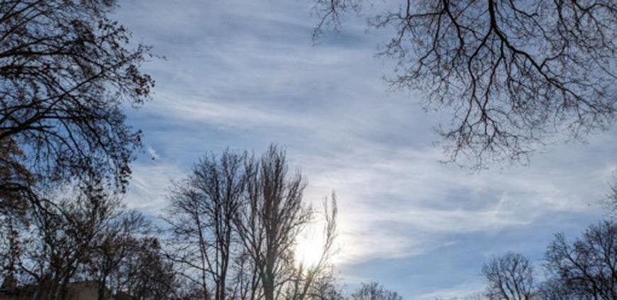 Какой будет погода в Одессе и области 15 декабря Какой будет погода в Одессе и области 15 декабря