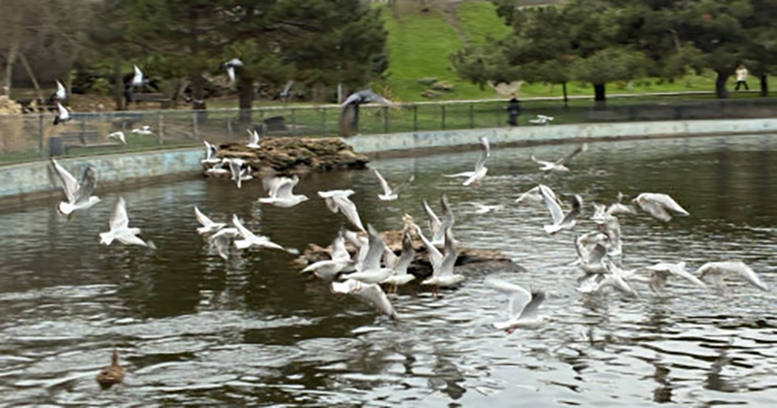 Якою буде погода в Одесі та області 21 грудня