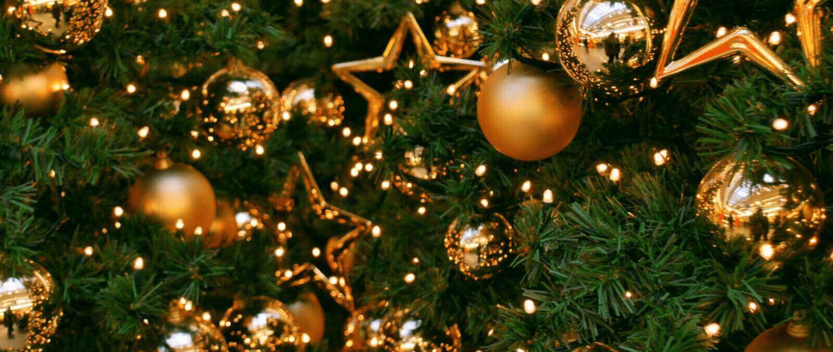 Головна ялинка, ярмарок і колядки: як Одеса святкуватиме Різдво (повна програма) Головна ялинка, ярмарок і колядки: як Одеса святкуватиме Різдво (повна програма)