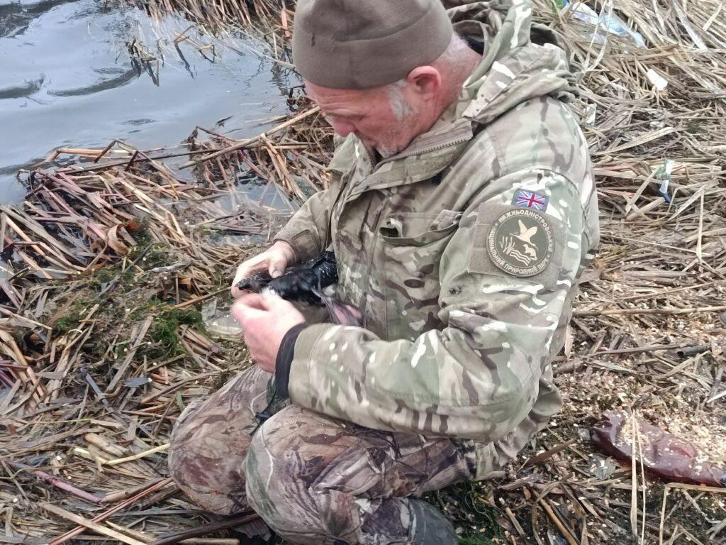 Рятувальна операція на Дністрі: рідкісного птаха знайшли пораненим на Одещині