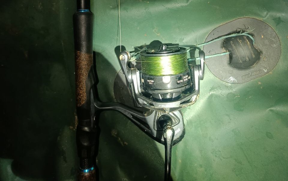 В заповідній зоні на Одещині припинили спробу грубого браконьєрства