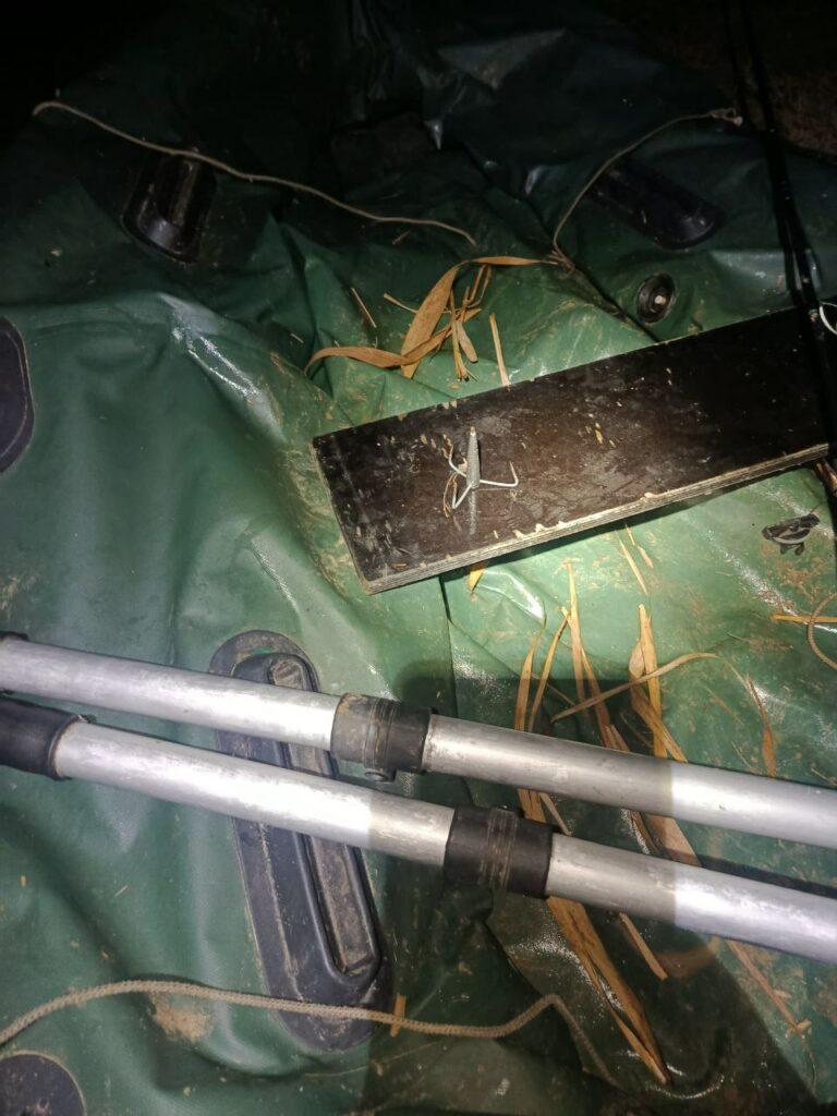 В заповідній зоні на Одещині припинили спробу грубого браконьєрства