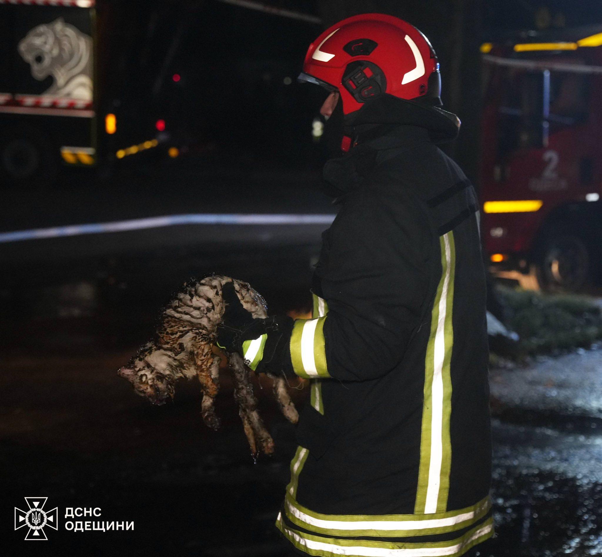 Нічна атака РФ: в Одесі пошкоджена інфраструктура та житлові будинки, серед постраждалих троє дітей (оновлено) Нічна атака РФ: в Одесі пошкоджена інфраструктура та житлові будинки, серед постраждалих троє дітей (оновлено)