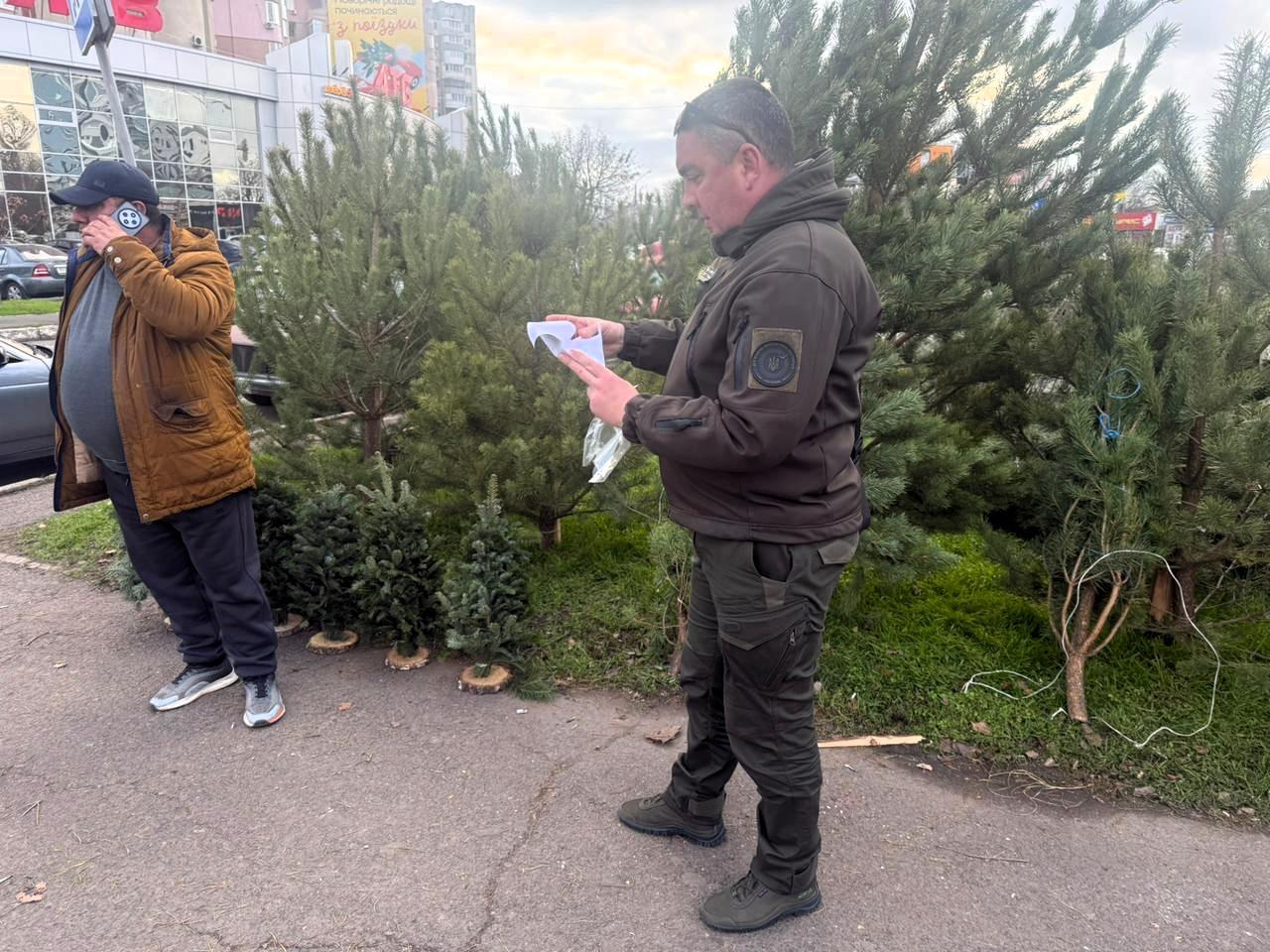 В Одесі виявили нелегальні точки продажу новорічних ялинок