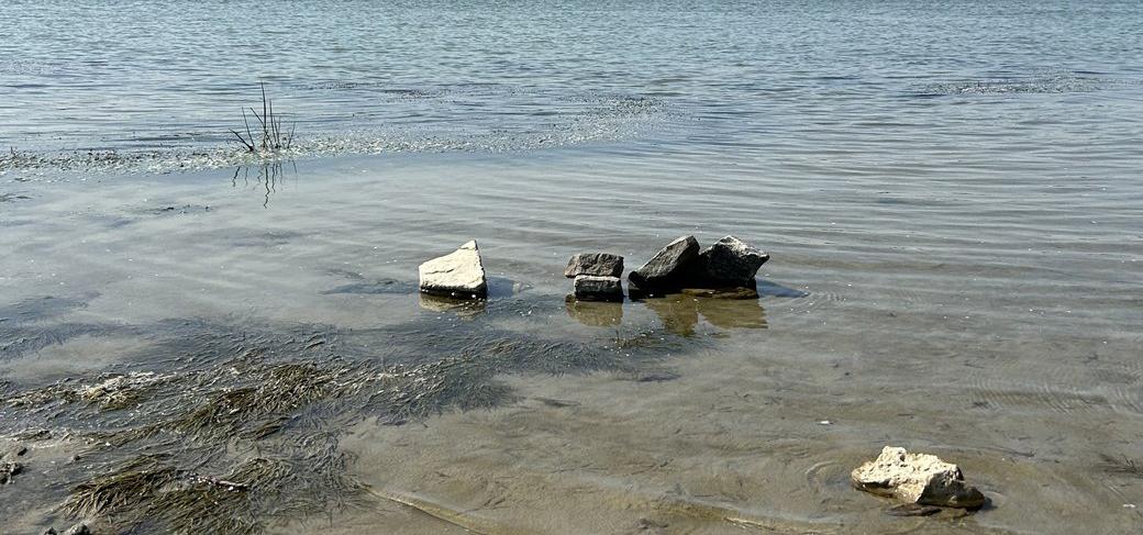 У Придунайських озерах знижується рівень води, але панікувати рано
