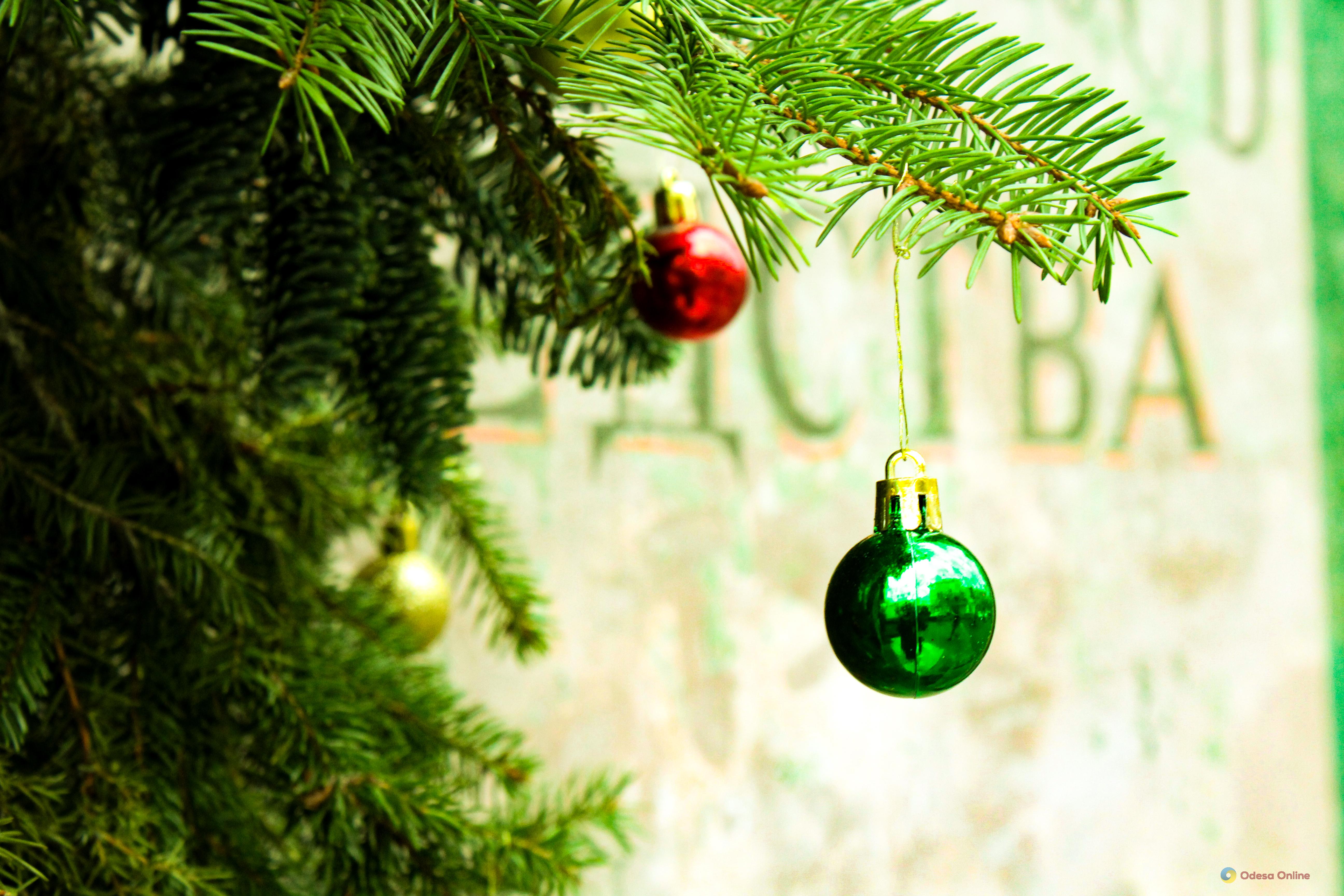 Фото тижня: Одеса між зимовою казкою та воєнною реальністю Фото тижня: Одеса між зимовою казкою та воєнною реальністю