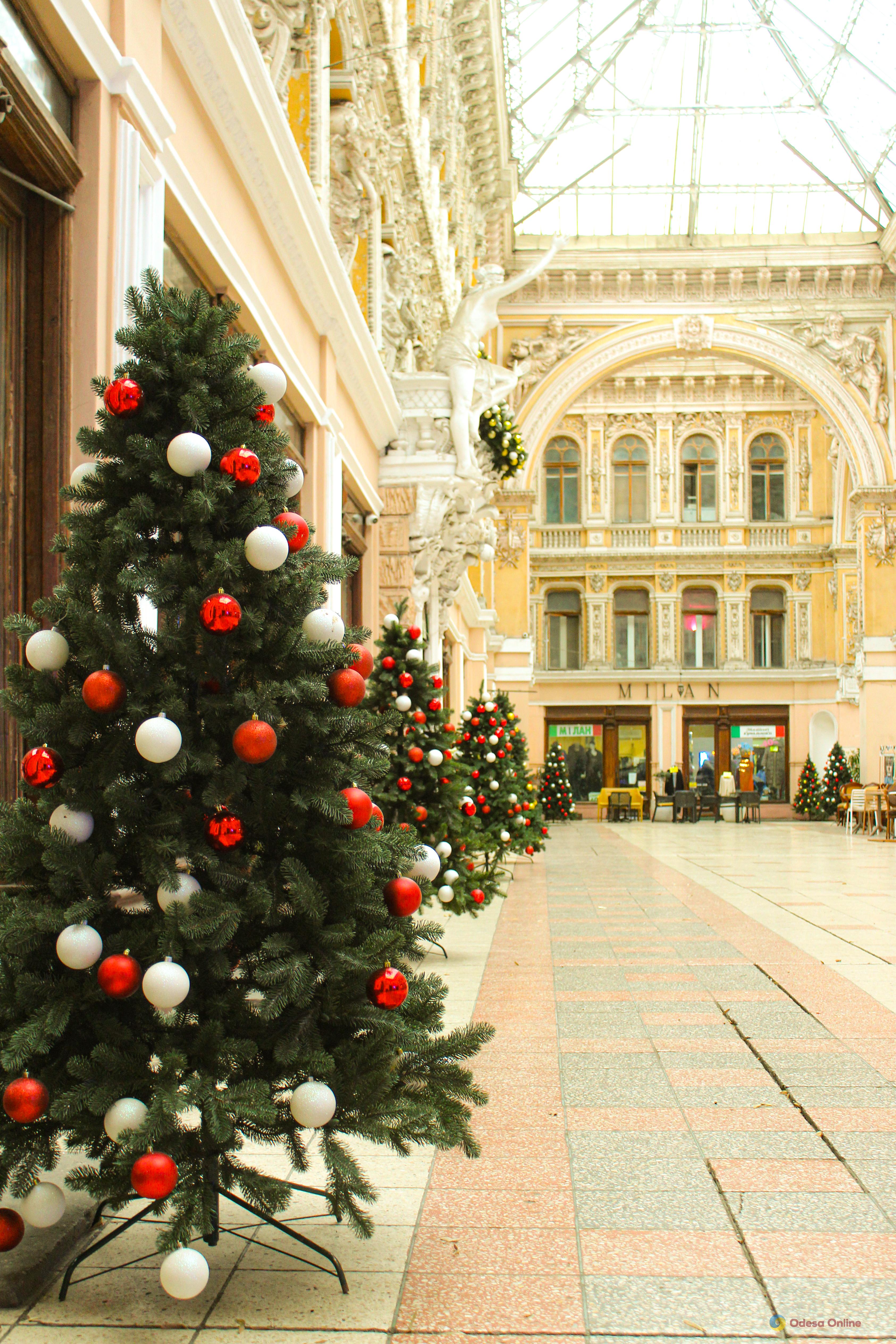 Фото тижня: Одеса між зимовою казкою та воєнною реальністю Фото тижня: Одеса між зимовою казкою та воєнною реальністю