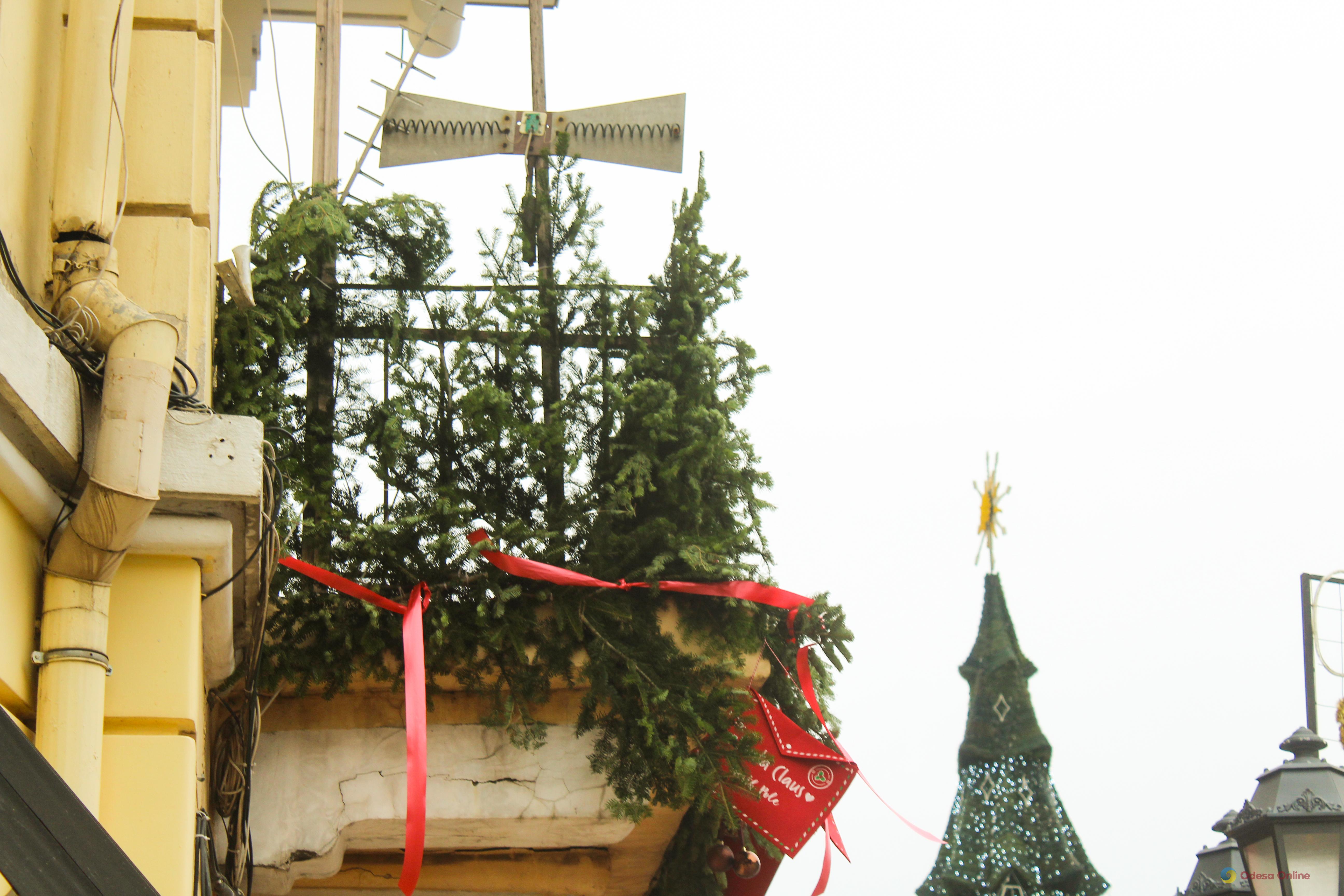 Фото тижня: Одеса між зимовою казкою та воєнною реальністю Фото тижня: Одеса між зимовою казкою та воєнною реальністю