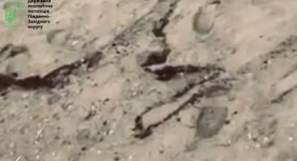 Может быть последствием утечек из танкеров типа «Волгонефть»: на побережье Затоки снова обнаружили мазут (видео) Может быть последствием утечек из танкеров типа «Волгонефть»: на побережье Затоки снова обнаружили мазут (видео)