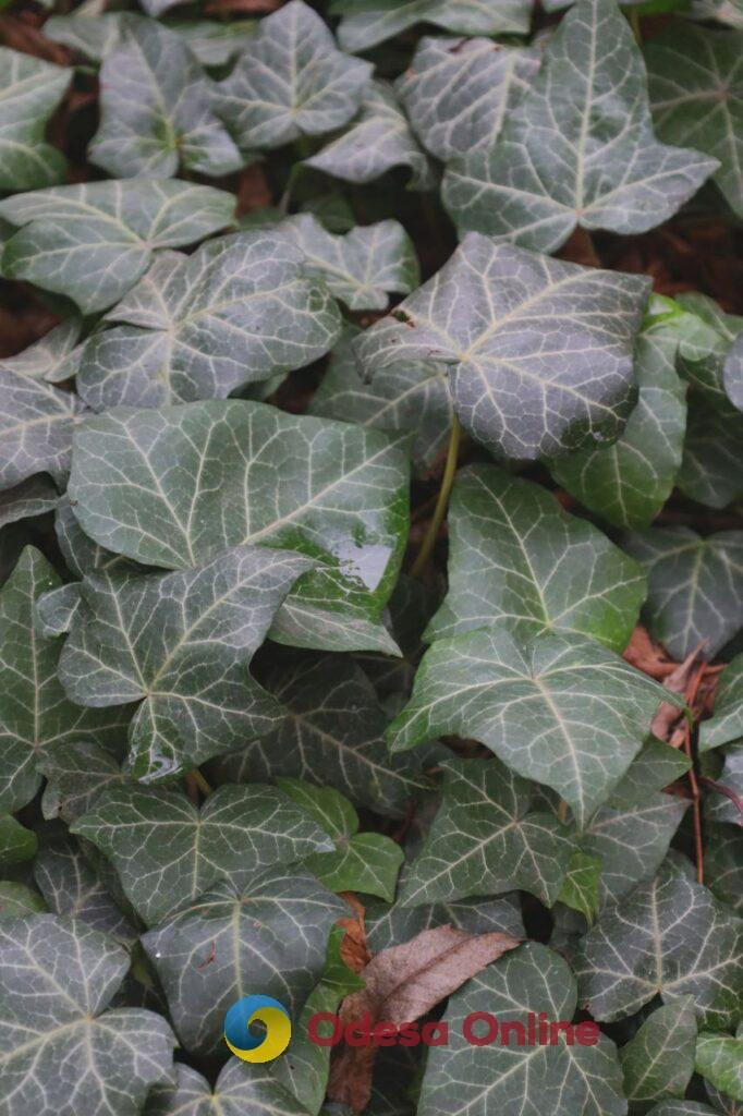 Какая будет погода 14 декабря в Одессе и области