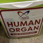 photo_2025-12-02_09-03-07 (2)