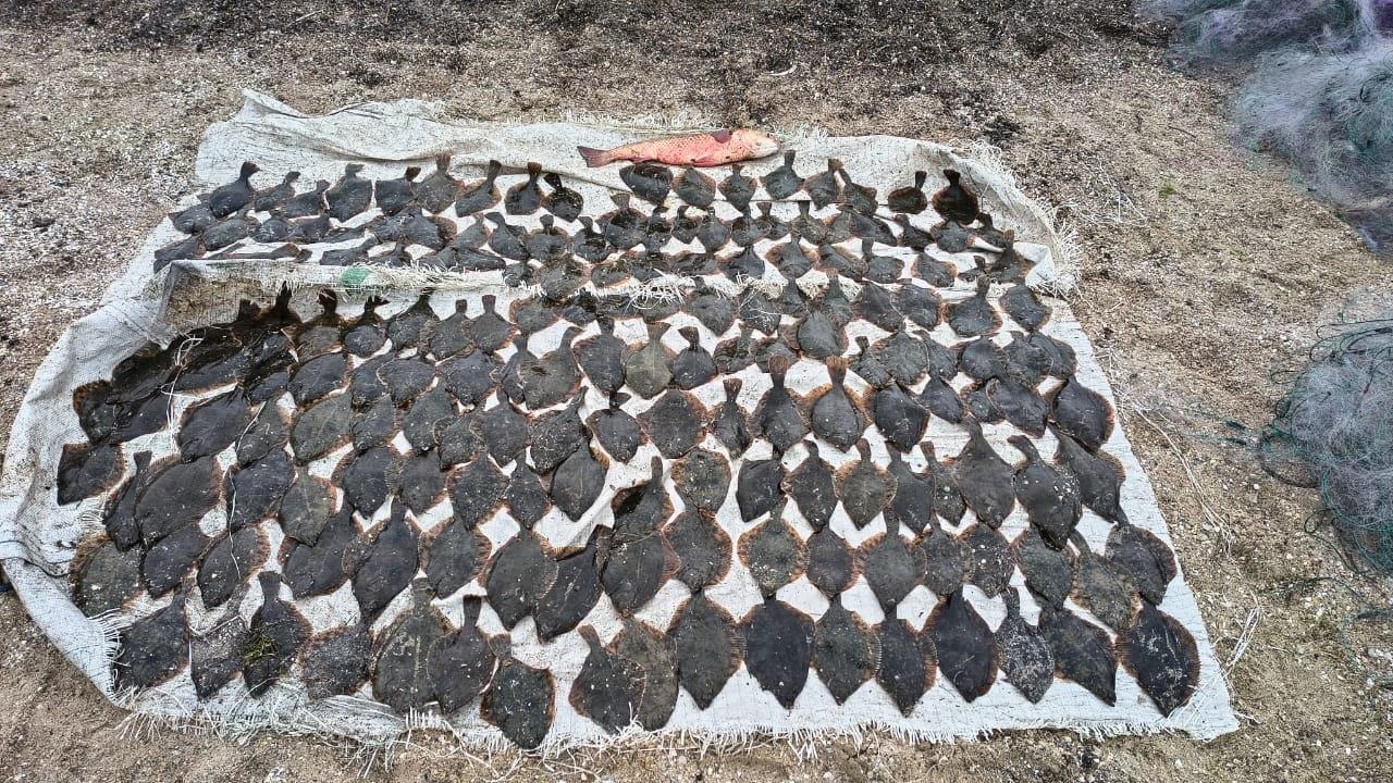 Во время рейда на Тилигульском лимане выявили незаконный вылов рыбы Во время рейда на Тилигульском лимане выявили незаконный вылов рыбы