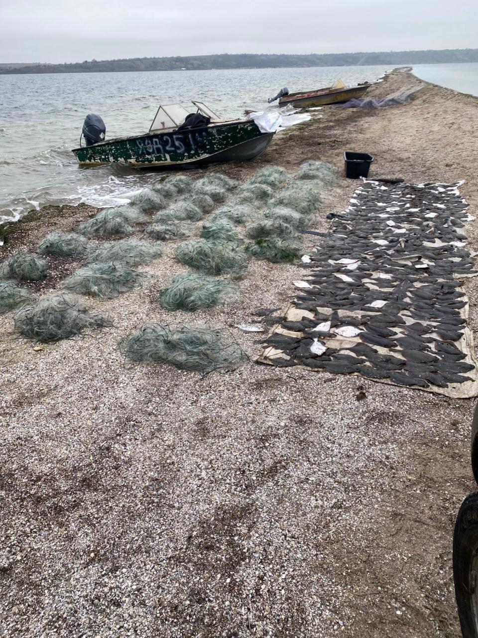 Во время рейда на Тилигульском лимане выявили незаконный вылов рыбы Во время рейда на Тилигульском лимане выявили незаконный вылов рыбы