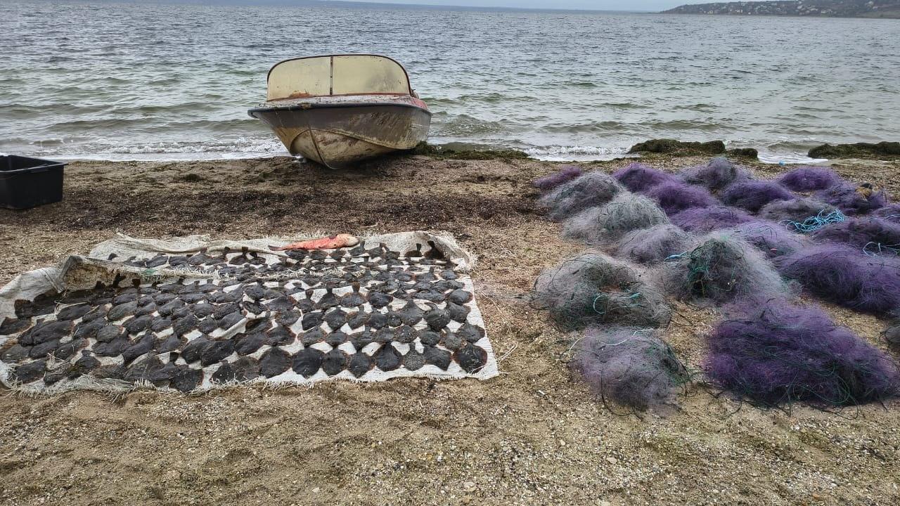 Во время рейда на Тилигульском лимане выявили незаконный вылов рыбы Во время рейда на Тилигульском лимане выявили незаконный вылов рыбы