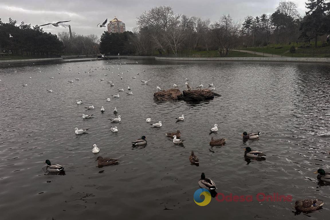 Фото тижня: Одеса між зимовою казкою та воєнною реальністю Фото тижня: Одеса між зимовою казкою та воєнною реальністю