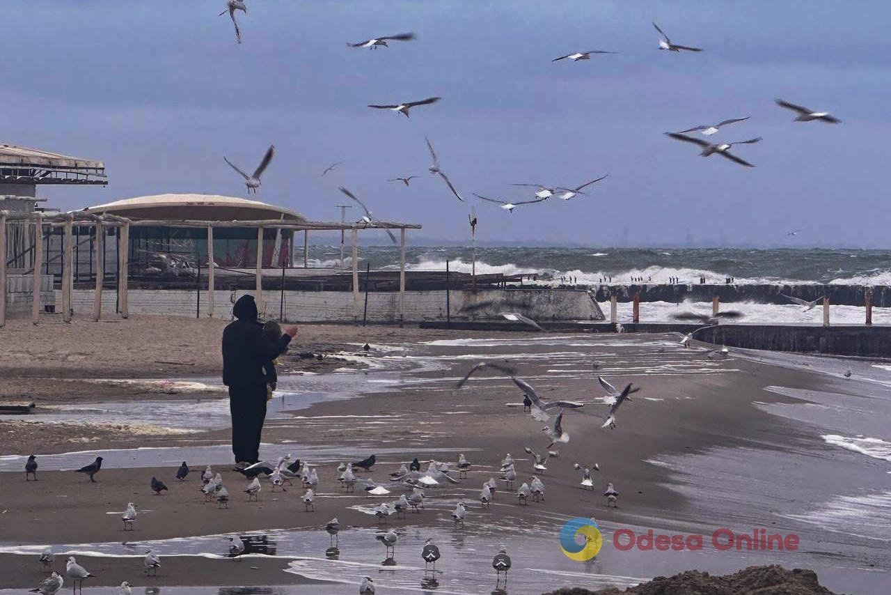 Фото тижня: Одеса між зимовою казкою та воєнною реальністю Фото тижня: Одеса між зимовою казкою та воєнною реальністю