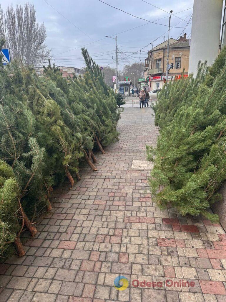 Фото тижня: розширення охоронного списку ЮНЕСКО, ялинкові базари та удар по енергетиці Фото недели: расширение охранного списка ЮНЕСКО, елочные базары и удар по энергетике