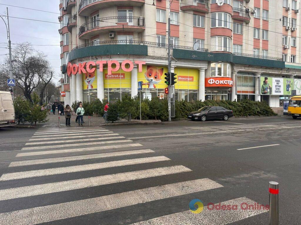 Фото тижня: розширення охоронного списку ЮНЕСКО, ялинкові базари та удар по енергетиці Фото недели: расширение охранного списка ЮНЕСКО, елочные базары и удар по энергетике