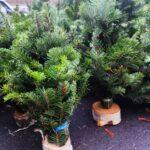 photo_2025-12-11_16-02-27 (2)