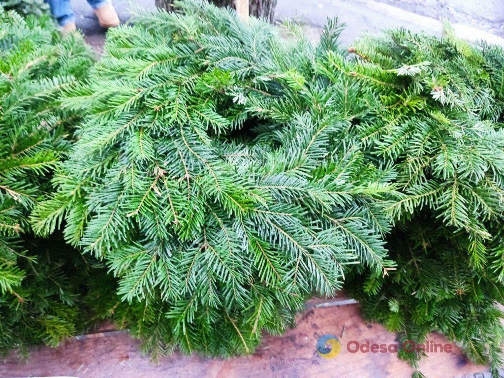 Фото тижня: розширення охоронного списку ЮНЕСКО, ялинкові базари та удар по енергетиці Фото недели: расширение охранного списка ЮНЕСКО, елочные базары и удар по энергетике