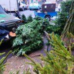 photo_2025-12-11_16-02-28 (3)