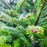 photo_2025-12-11_16-02-28 (4)