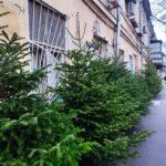 photo_2025-12-11_16-02-57 (2)