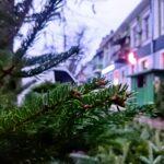 photo_2025-12-11_16-09-23 (2)