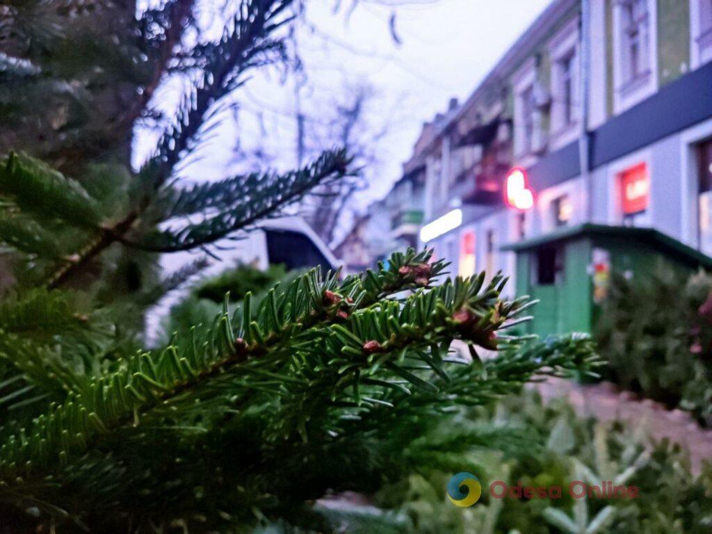 Фото тижня: розширення охоронного списку ЮНЕСКО, ялинкові базари та удар по енергетиці Фото недели: расширение охранного списка ЮНЕСКО, елочные базары и удар по энергетике