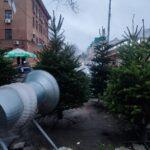 photo_2025-12-11_16-09-24 (2)