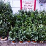 photo_2025-12-11_16-09-24 (3)