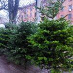 photo_2025-12-11_16-09-24 (3)