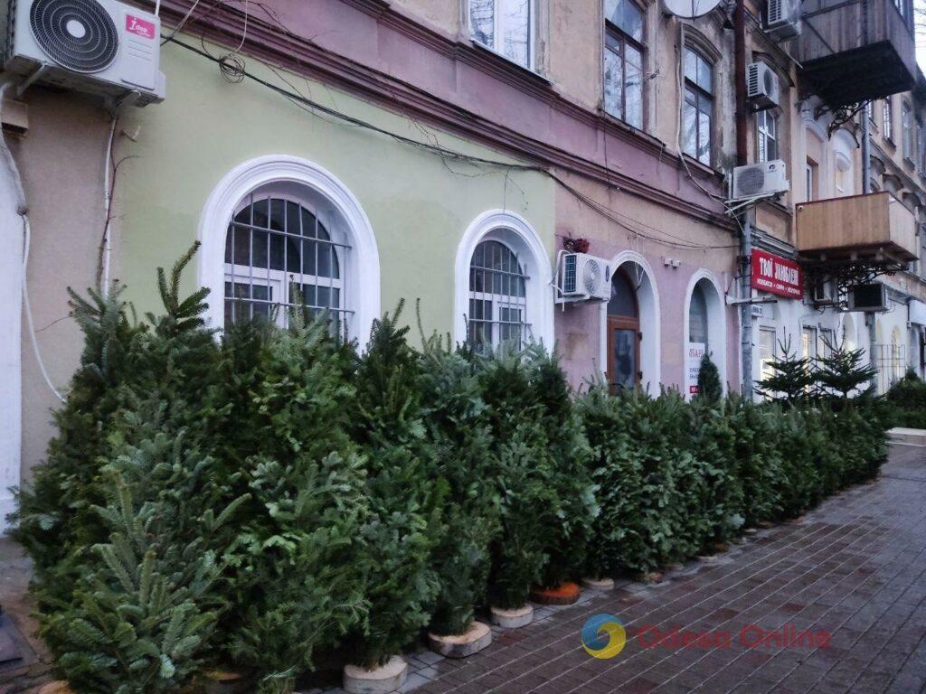 Фото тижня: розширення охоронного списку ЮНЕСКО, ялинкові базари та удар по енергетиці Фото недели: расширение охранного списка ЮНЕСКО, елочные базары и удар по энергетике