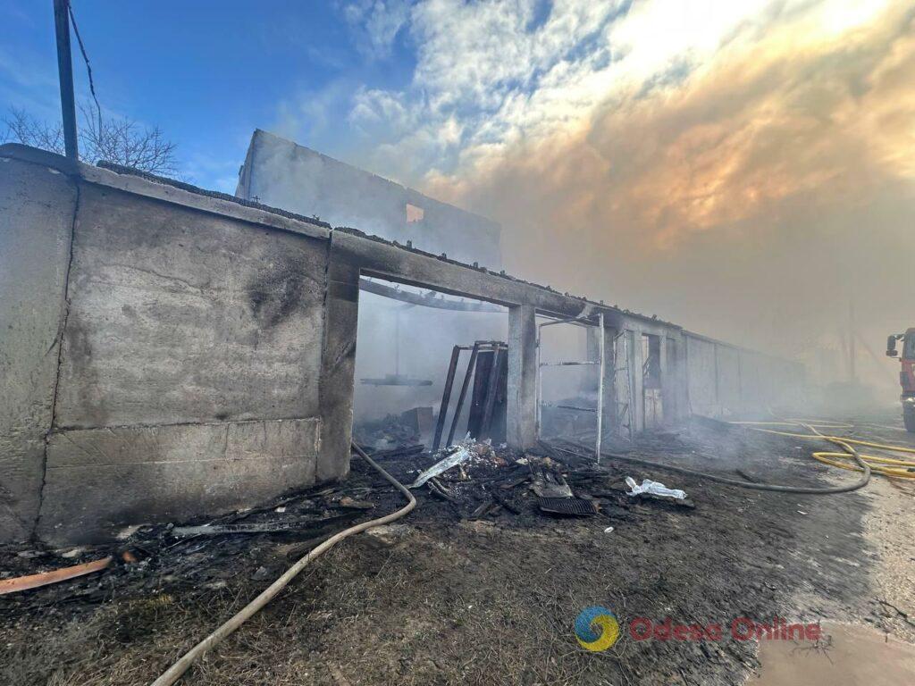 Фото тижня: розширення охоронного списку ЮНЕСКО, ялинкові базари та удар по енергетиці Фото недели: расширение охранного списка ЮНЕСКО, елочные базары и удар по энергетике