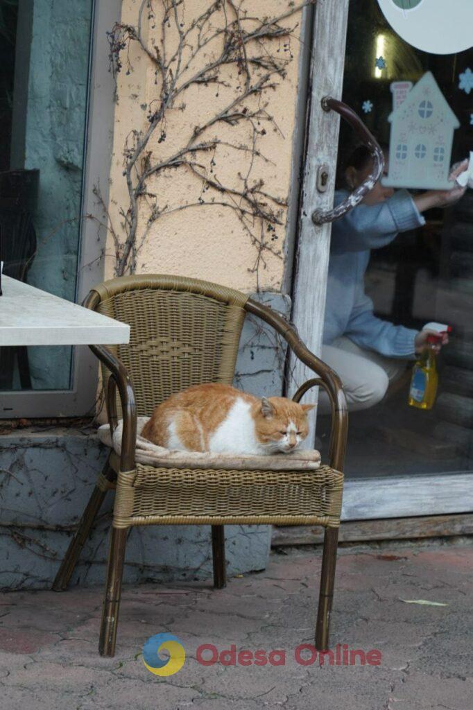 Фото тижня: розширення охоронного списку ЮНЕСКО, ялинкові базари та удар по енергетиці Фото недели: расширение охранного списка ЮНЕСКО, елочные базары и удар по энергетике