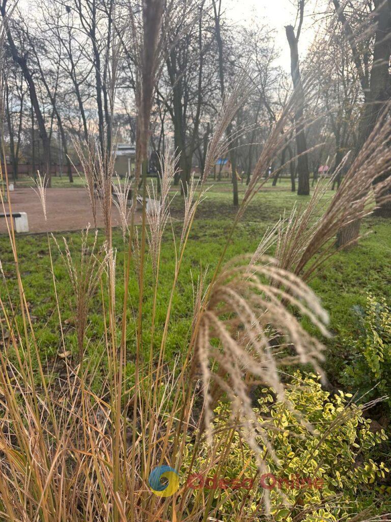 Фото тижня: розширення охоронного списку ЮНЕСКО, ялинкові базари та удар по енергетиці Фото недели: расширение охранного списка ЮНЕСКО, елочные базары и удар по энергетике