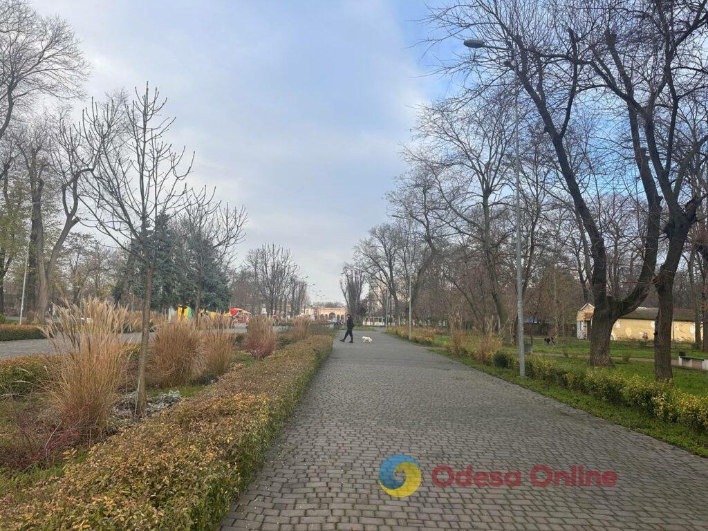 Фото тижня: розширення охоронного списку ЮНЕСКО, ялинкові базари та удар по енергетиці Фото недели: расширение охранного списка ЮНЕСКО, елочные базары и удар по энергетике