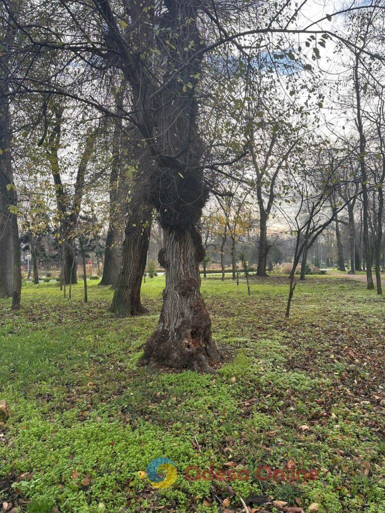 Фото тижня: розширення охоронного списку ЮНЕСКО, ялинкові базари та удар по енергетиці Фото недели: расширение охранного списка ЮНЕСКО, елочные базары и удар по энергетике