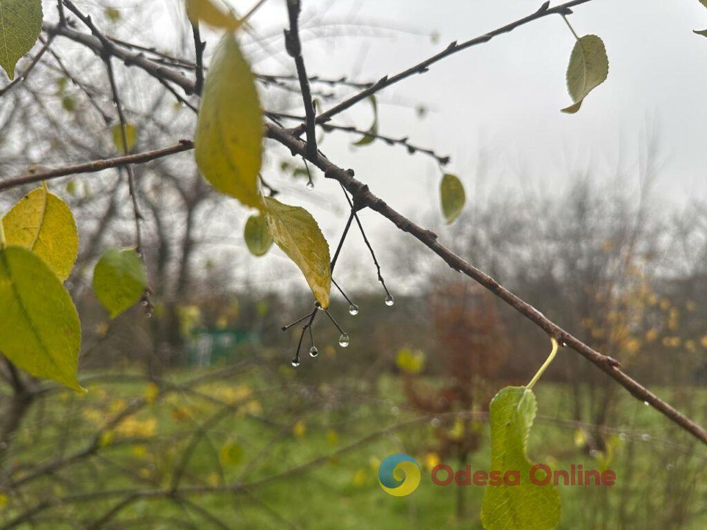 Фото тижня: розширення охоронного списку ЮНЕСКО, ялинкові базари та удар по енергетиці Фото недели: расширение охранного списка ЮНЕСКО, елочные базары и удар по энергетике