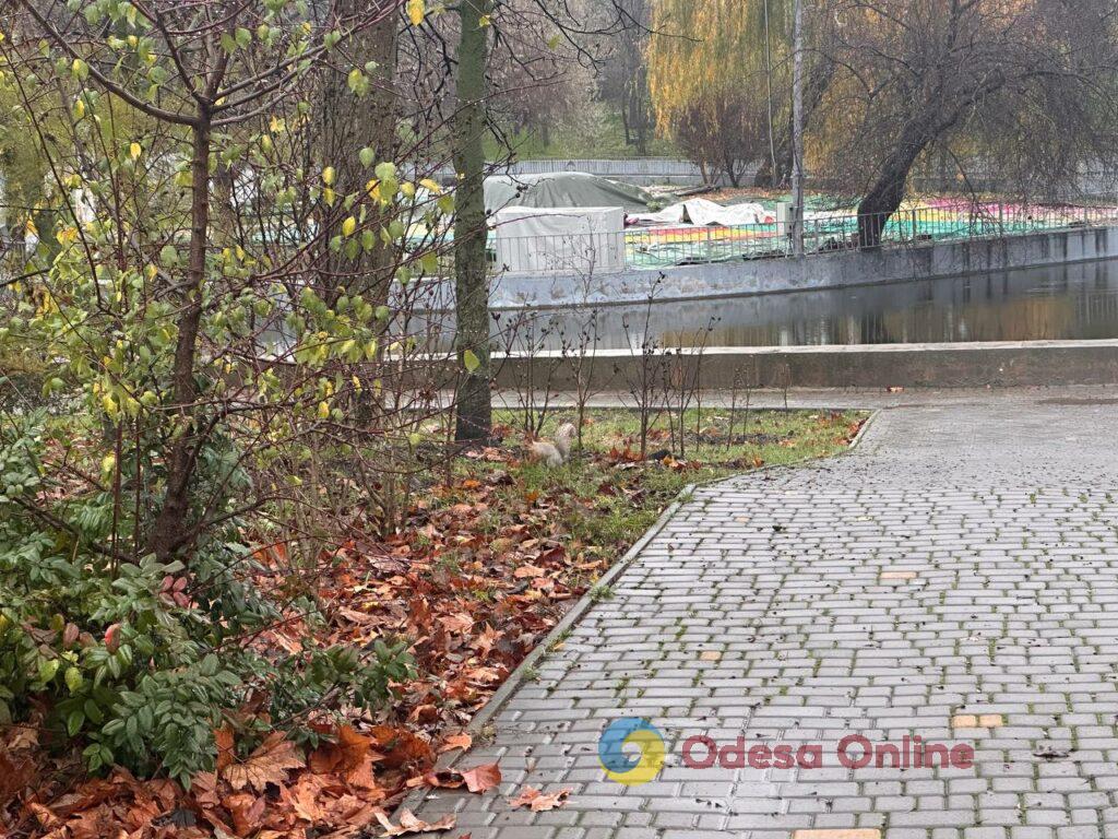 Фото тижня: розширення охоронного списку ЮНЕСКО, ялинкові базари та удар по енергетиці Фото недели: расширение охранного списка ЮНЕСКО, елочные базары и удар по энергетике