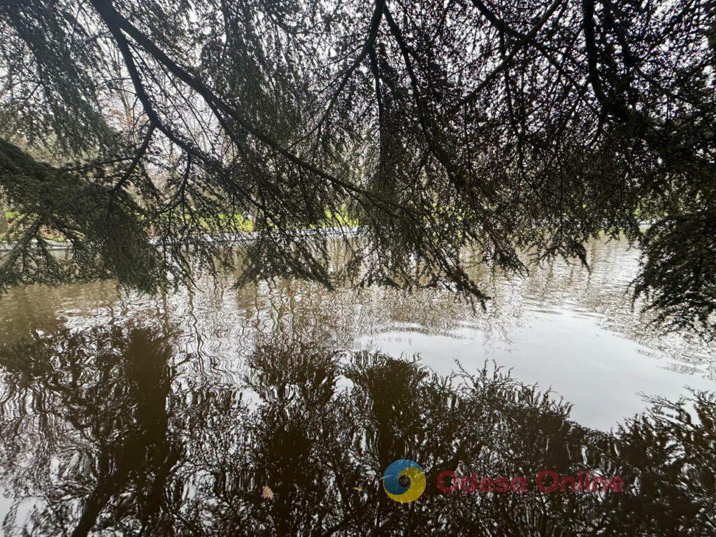 Фото недели: несокрушимая Одесса готовится к Рождеству вопреки блэкаутам и обстрелам