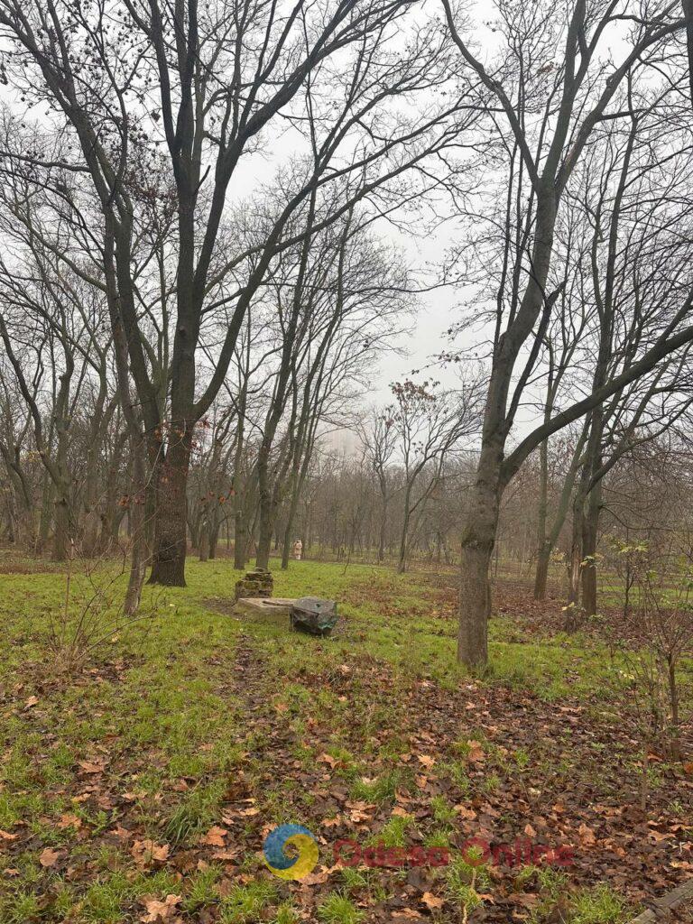 Фото недели: несокрушимая Одесса готовится к Рождеству вопреки блэкаутам и обстрелам