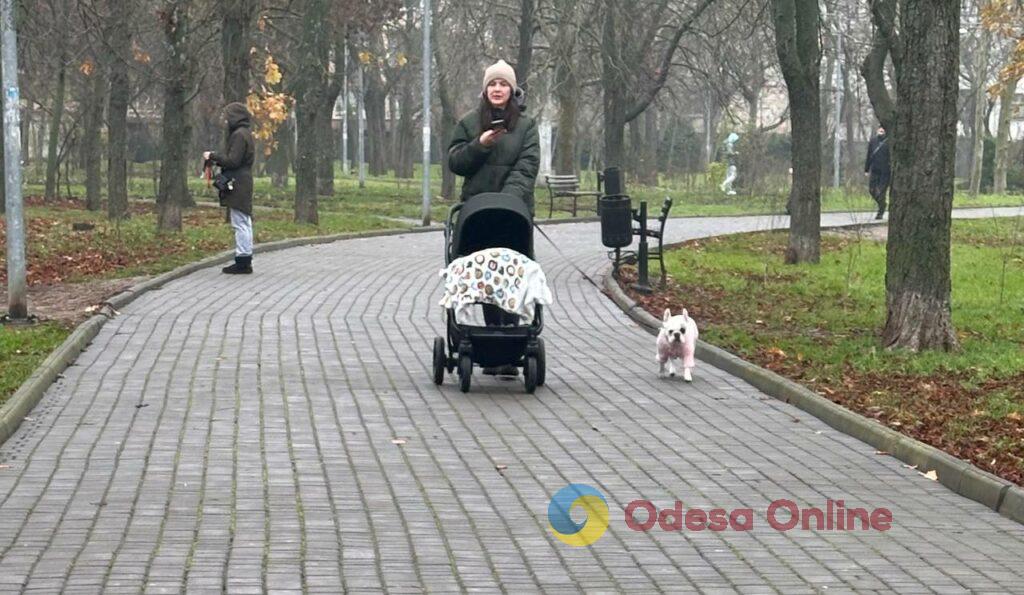 Фото недели: несокрушимая Одесса готовится к Рождеству вопреки блэкаутам и обстрелам