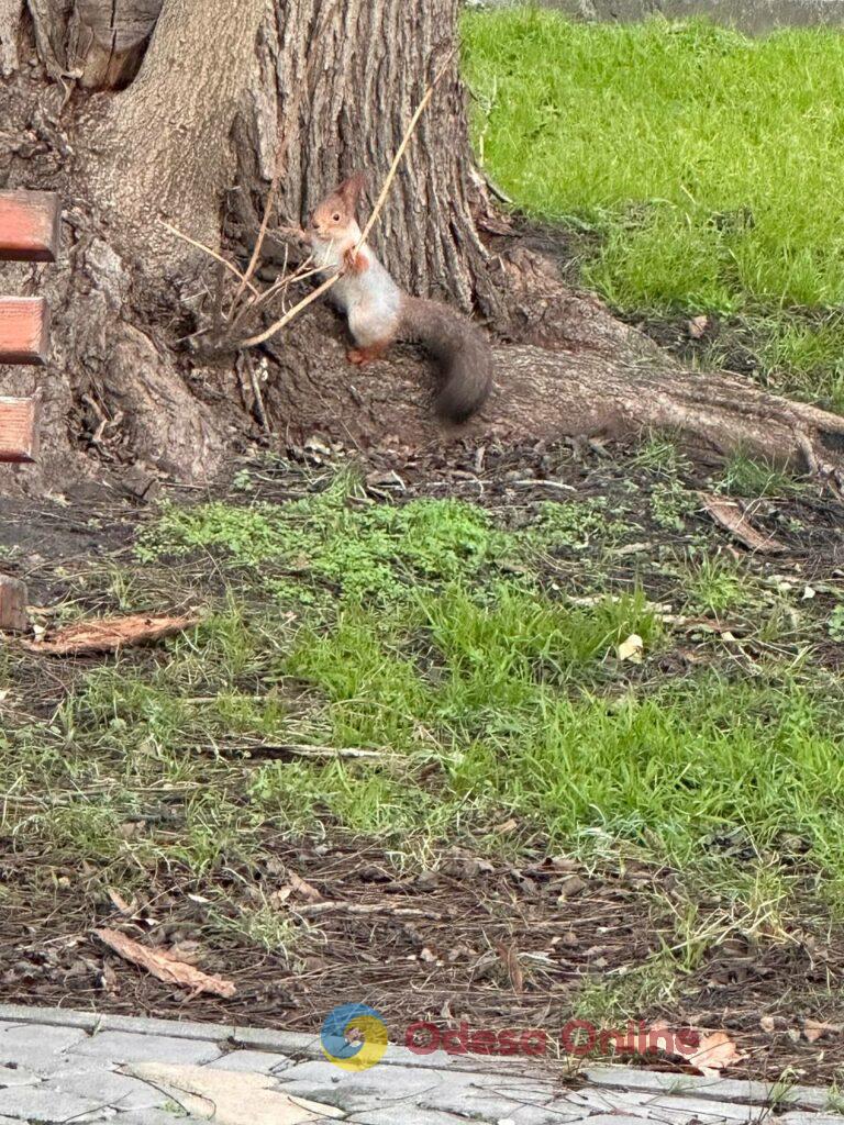 Фото недели: несокрушимая Одесса готовится к Рождеству вопреки блэкаутам и обстрелам