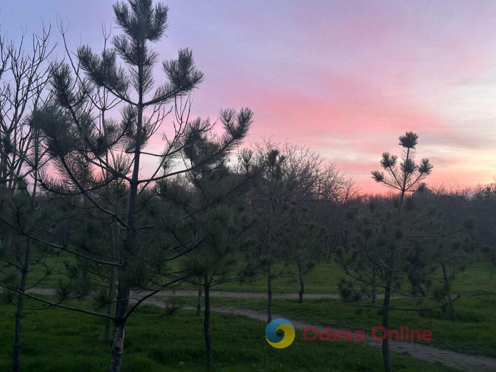 Фото недели: несокрушимая Одесса готовится к Рождеству вопреки блэкаутам и обстрелам