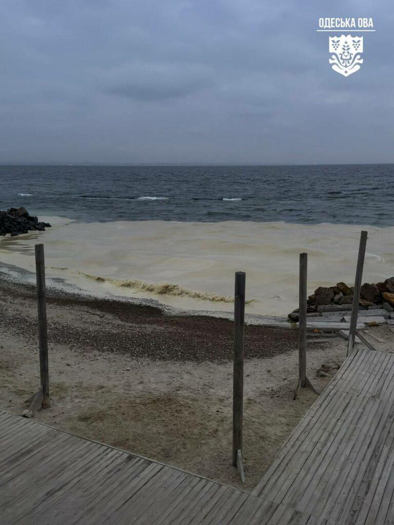 Масштабний витік олії в море: Одеський зоопарк взяв на реабілітацію постраждалих птахів