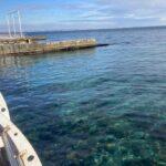 photo_2025-12-29_09-56-07 (2)